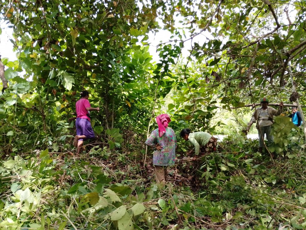 652657153 2197047457496864 9048992530466324155 n