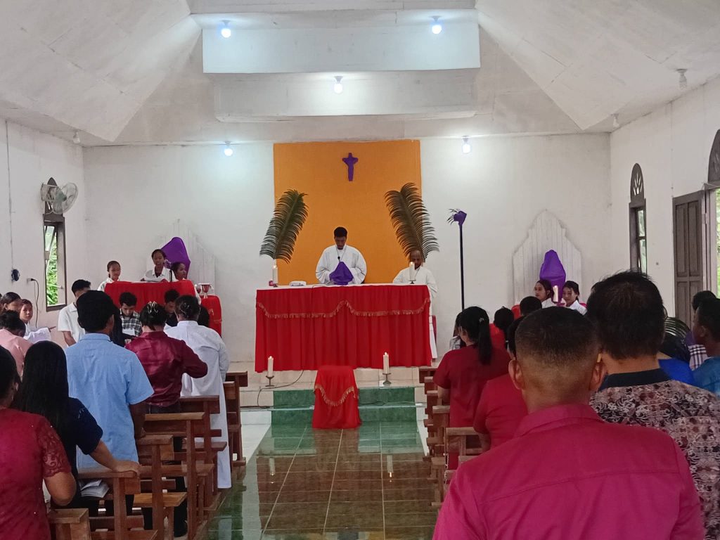 659152865 122274973790220949 4896324496421702058 n